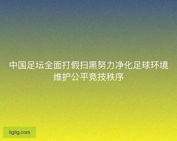 中国足坛全面打假扫黑努力净化足球环境维护公平竞技秩序