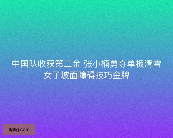 中国队收获第二金 张小楠勇夺单板滑雪女子坡面障碍技巧金牌